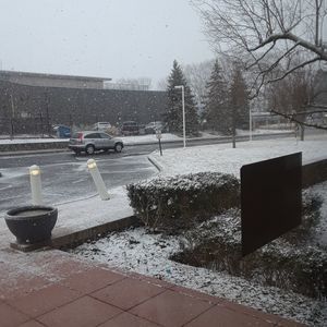 Meet your Posher, Mitchell